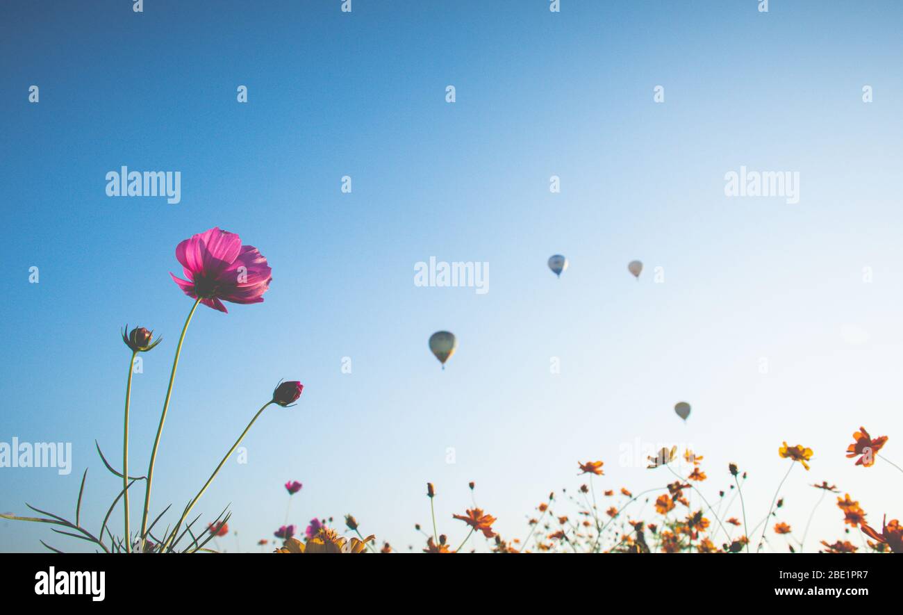 Blue Sky Prices Blue Sky Prices