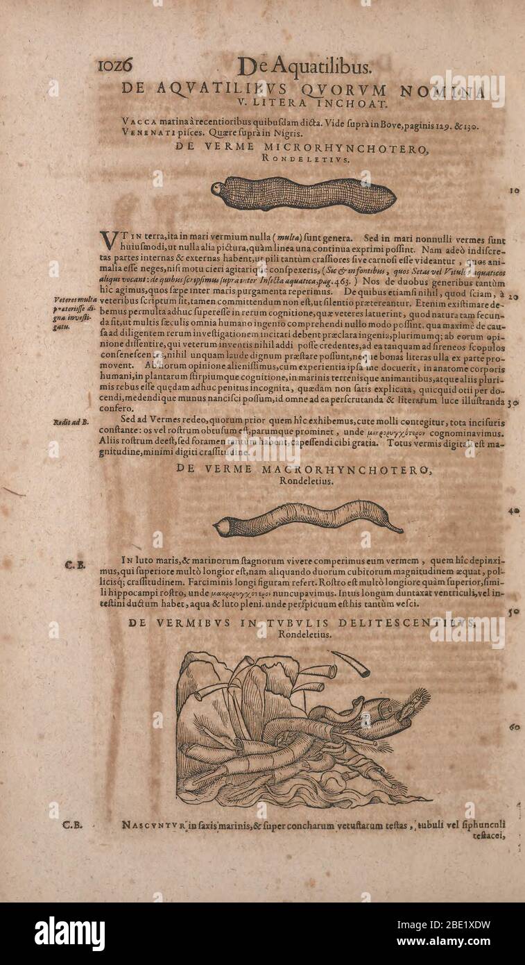 Historia animalium ("History of the Animals"), published in 1551–1558 and 1587, by Conrad Gessner. Stock Photo