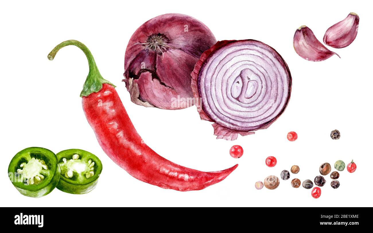 Purple onion bulbs, jalapeno, chili pepper, garlic, pepper set