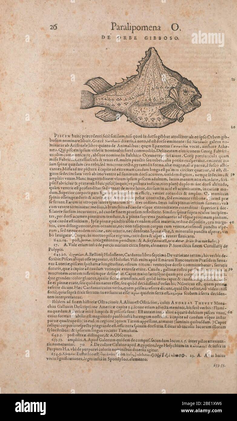 Historia animalium ("History of the Animals"), published in 1551–1558 and 1587, by Conrad Gessner. Stock Photo