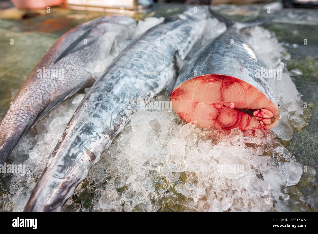 Tuna fresh fish on ice Stock Photo
