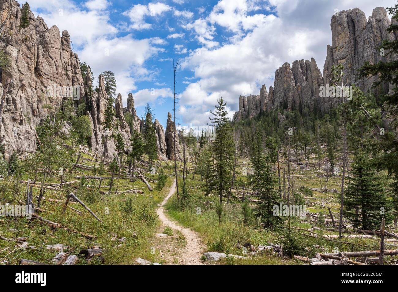 Black Hills Cathedral Spires Scenic Landscape Stock Photo