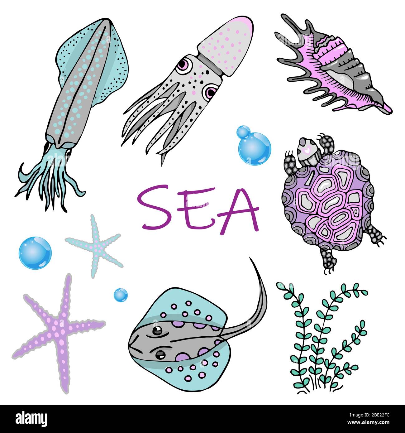 set of sea animals. Skat, squid, turtle, starfish and shell Stock Vector Image & Art - Alamy set of sea animals. Skat, squid, turtle, starfish and shell Stock Vector Image & Art - Alamy