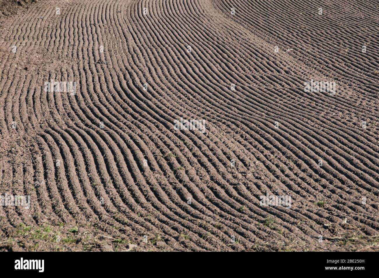 Around the UK - abstract view of a farmer's field where crops have just been sown Stock Photo