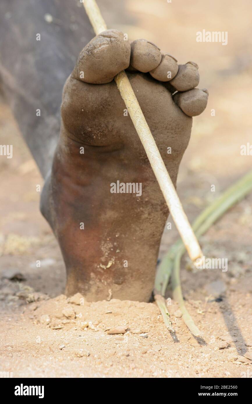 Hadza men prepare arrows before a hunting expedition Photographed at Lake Eyasi, Tanzania Stock Photo