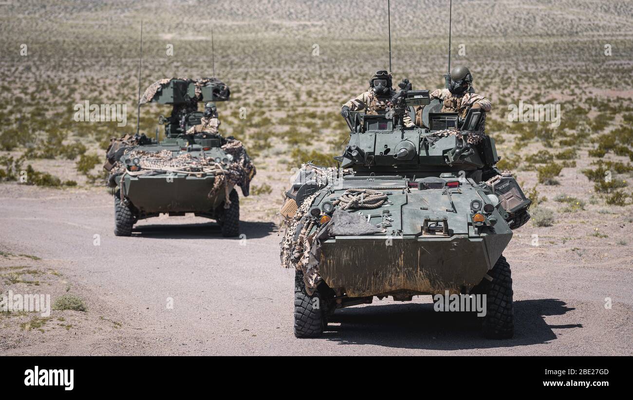 3rd light armored reconnaissance battalion hi-res stock photography and  images - Alamy