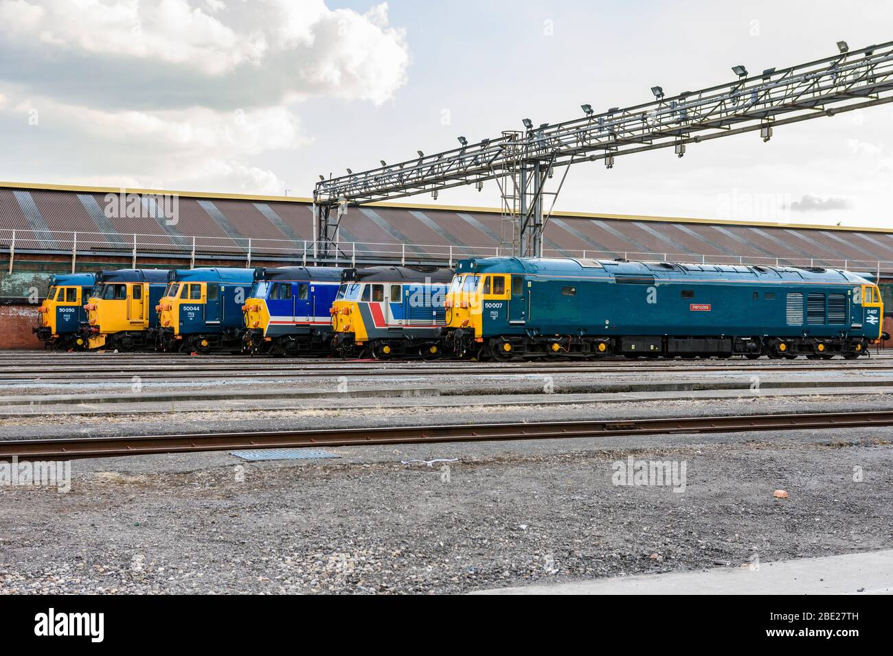 A historic line up of 6 Class 50 locos on Old Oak Common Depot Stock Photo