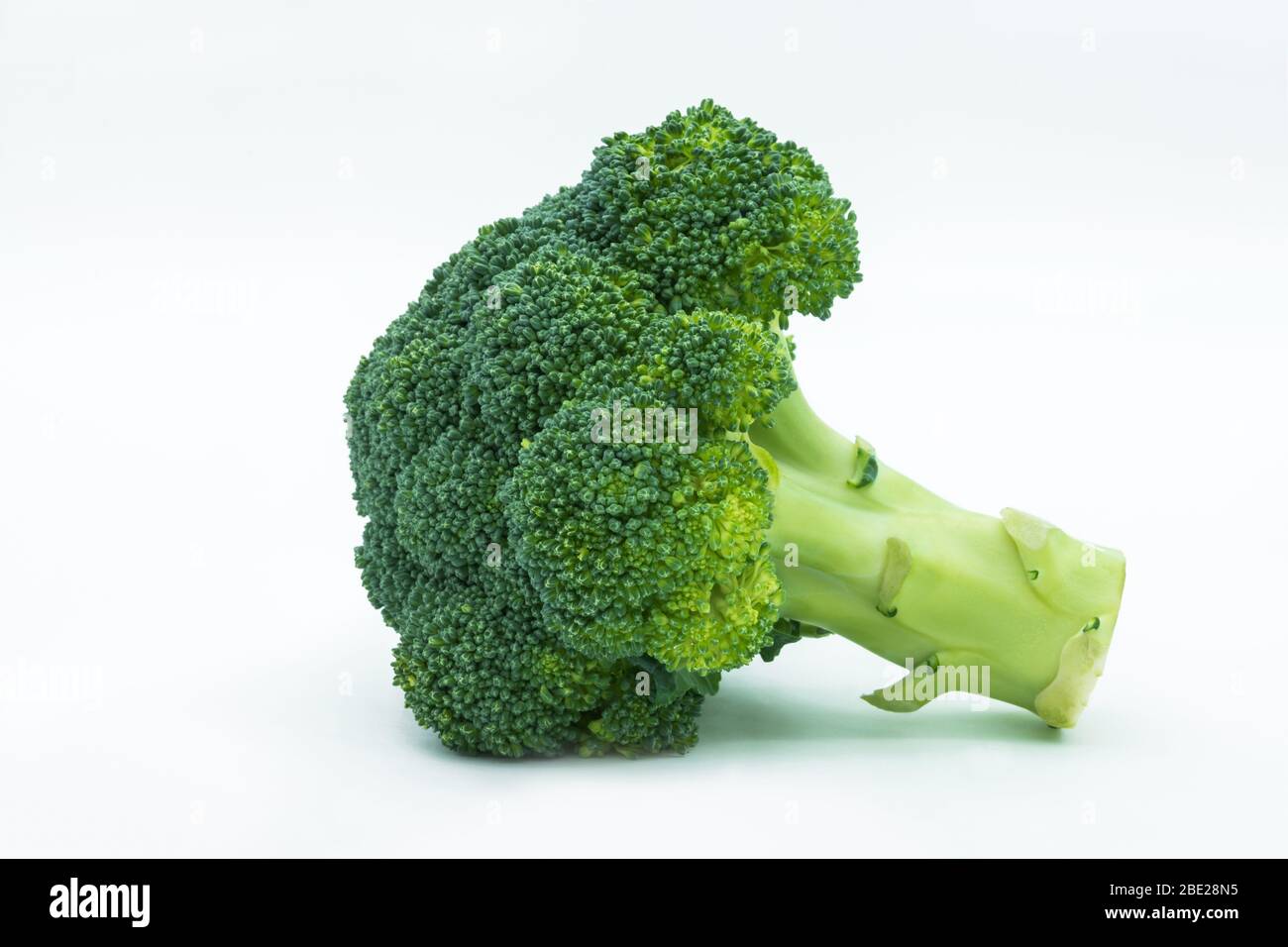 Broccoli isolated on white background Stock Photo