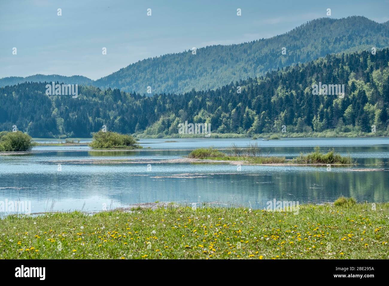 Cerknica lake in spring, Slovenia Stock Photo