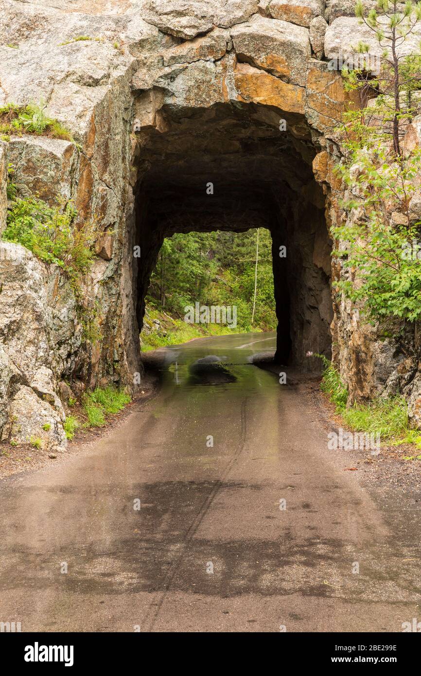 Iron Creek Tunnel - A narrow tunnel on a road in the woods on a rainy day. Stock Photo