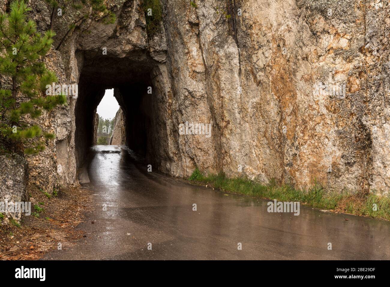 Needles Eye Tunnel in the Black Hills of South Dakota. Stock Photo