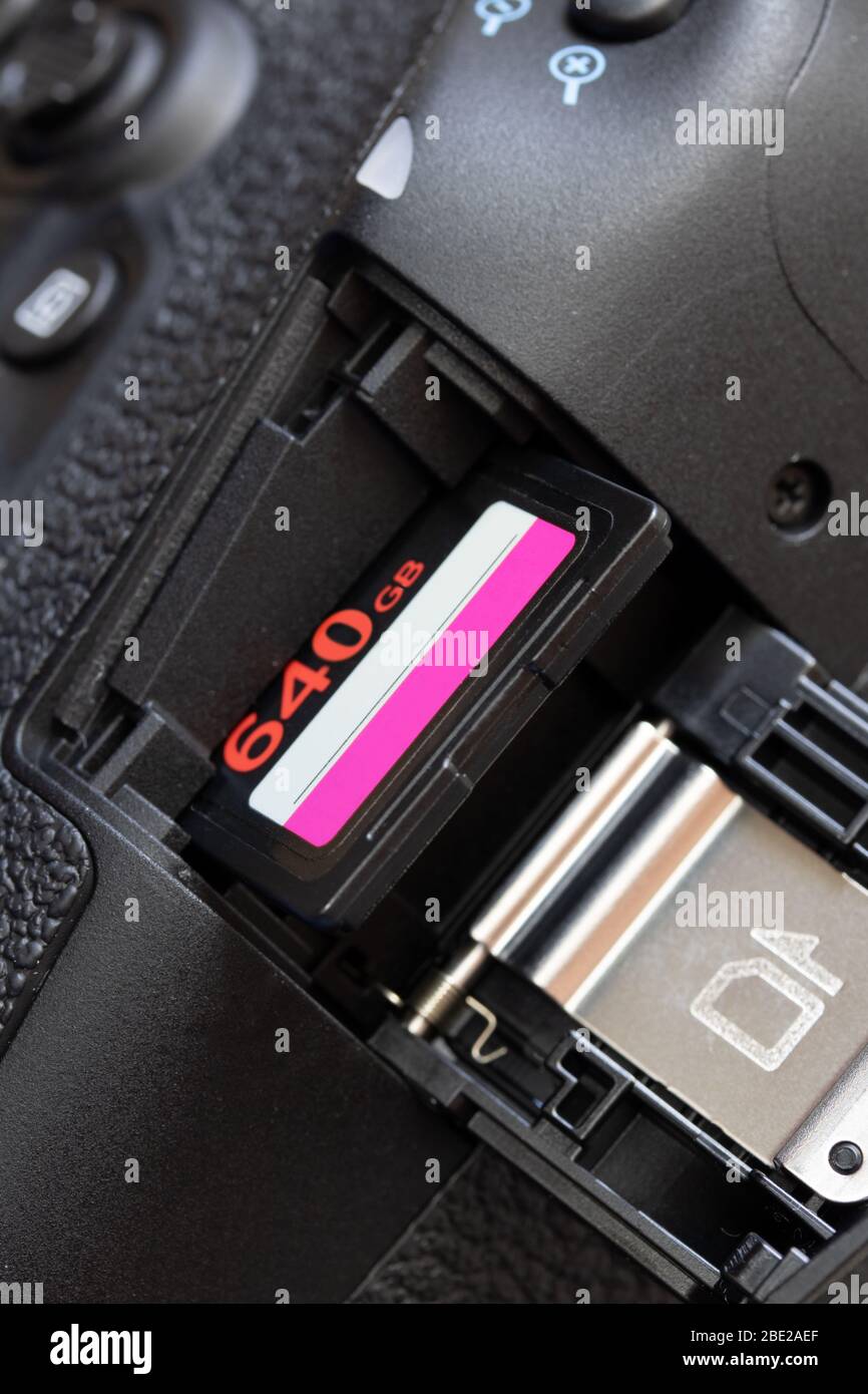 The memory card with large capacity in camera slot. The memory card inserted to card hole in open door of the digital camera. Stock Photo