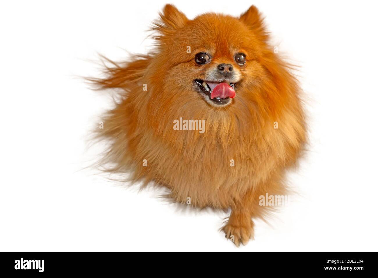 Daytime local Cut Out Stock Images & Pictures Alamy