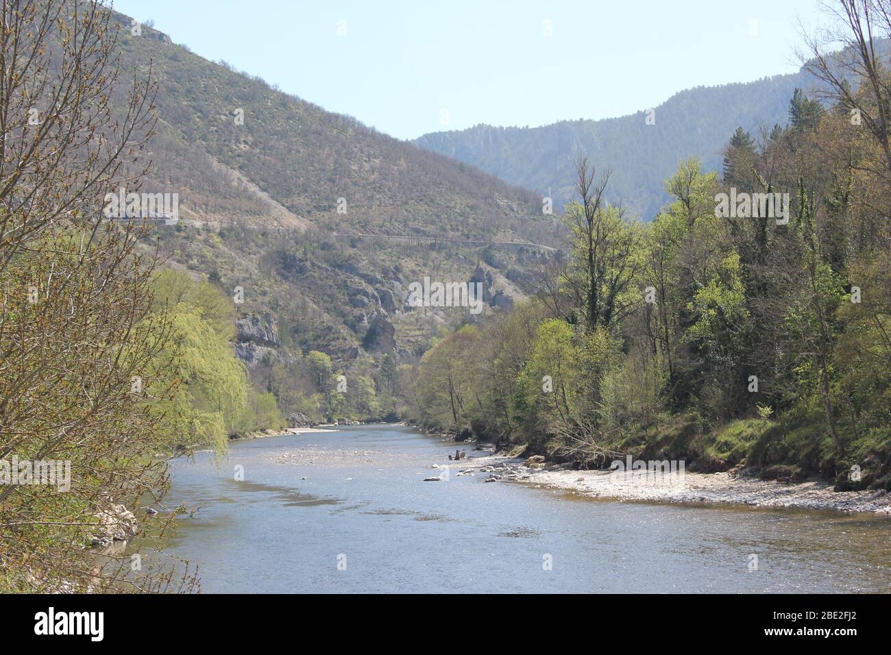 The Gorges du Tarn, limestone gorge with river, France Stock Photo