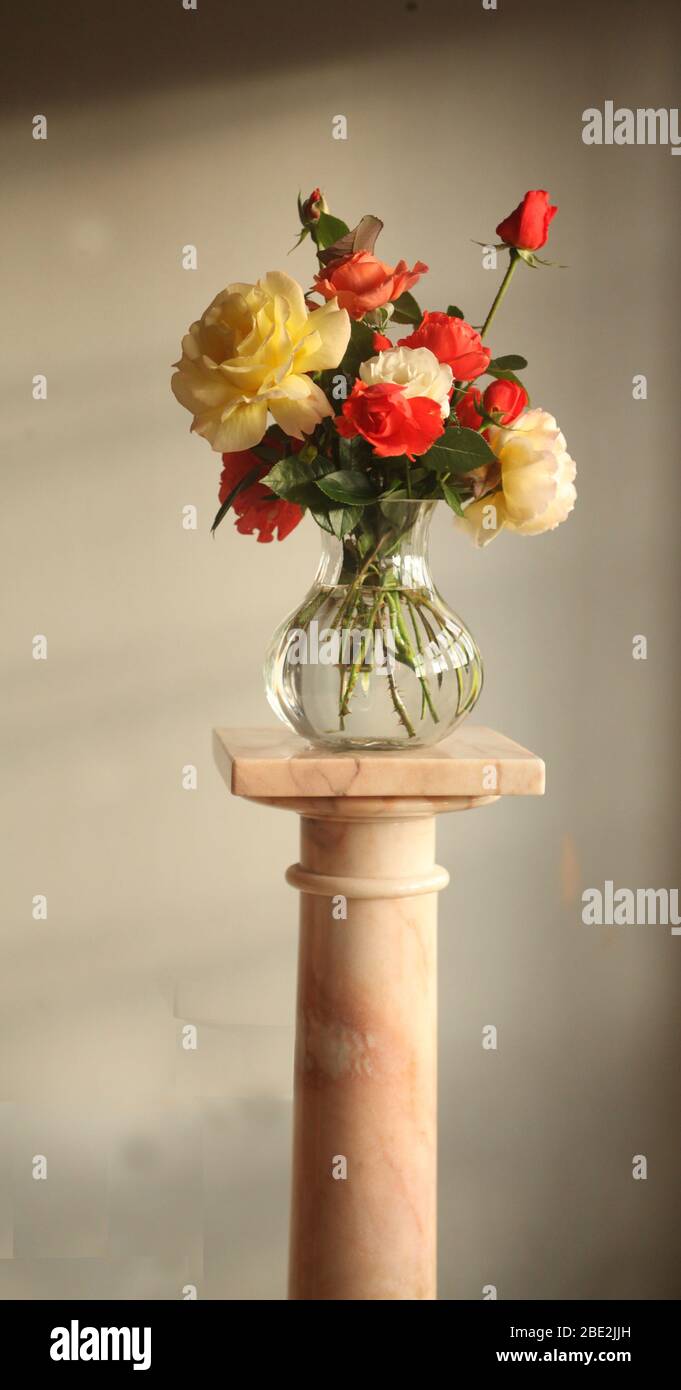 Roses in glass vase on a marble stand Stock Photo