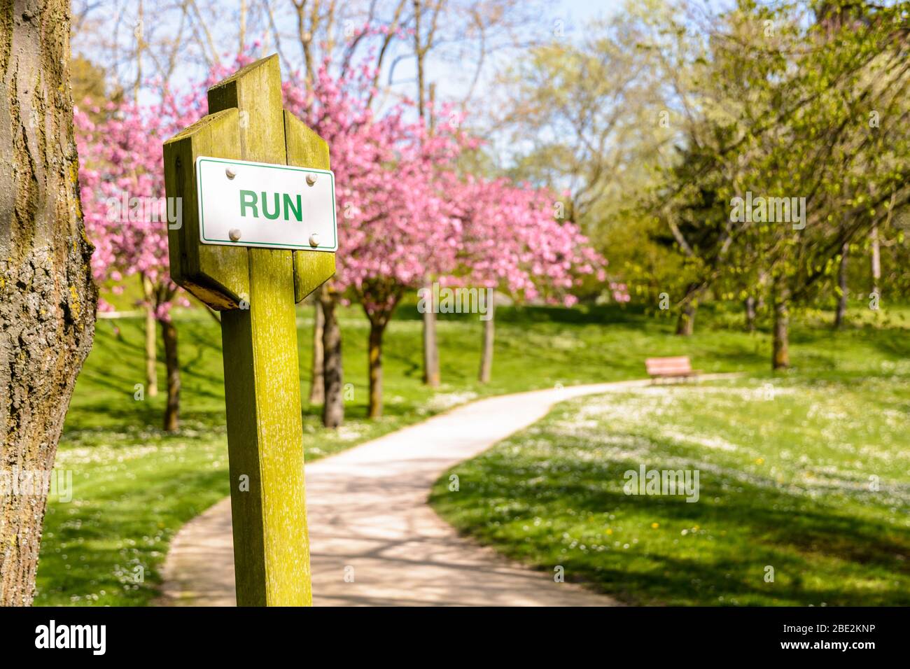 A sign on a wooden post reading 'run' on a fitness trail by a sunny spring day in a public park with blossoming cherry trees along a dirt path. Stock Photo
