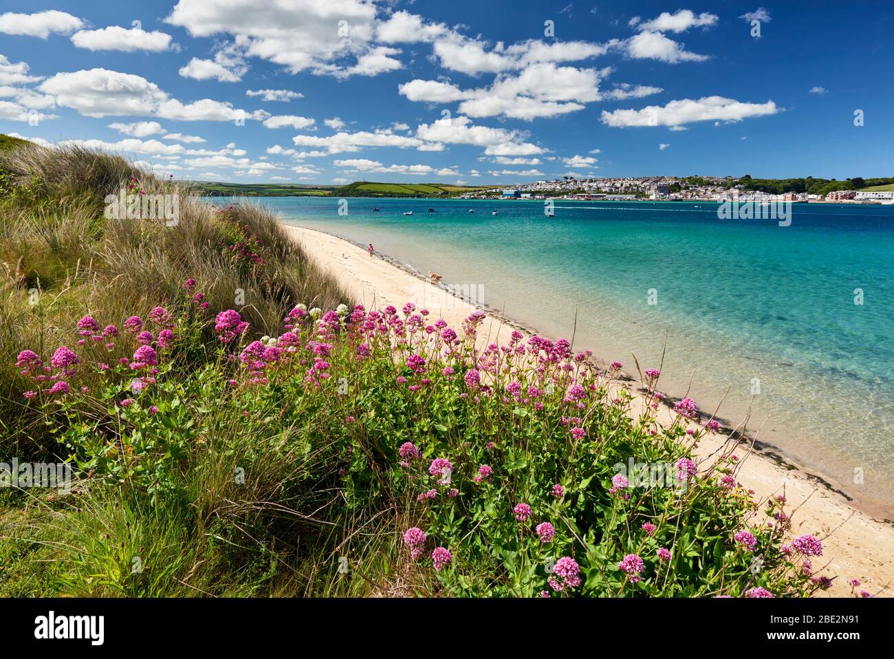 Beach along the Camel Estuary overlooking Padstow Stock Photo