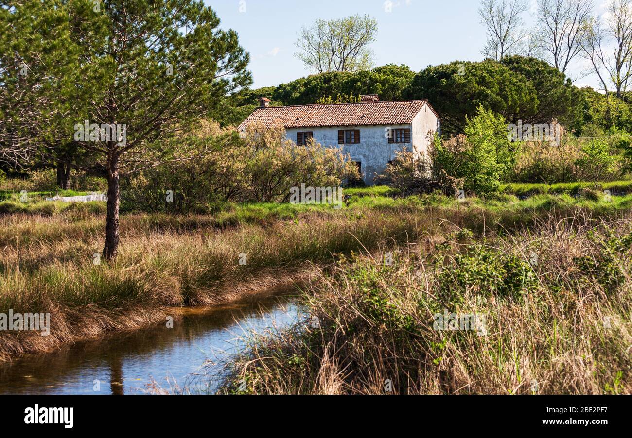 stone farm house with a water channel in front and a lot of green ...