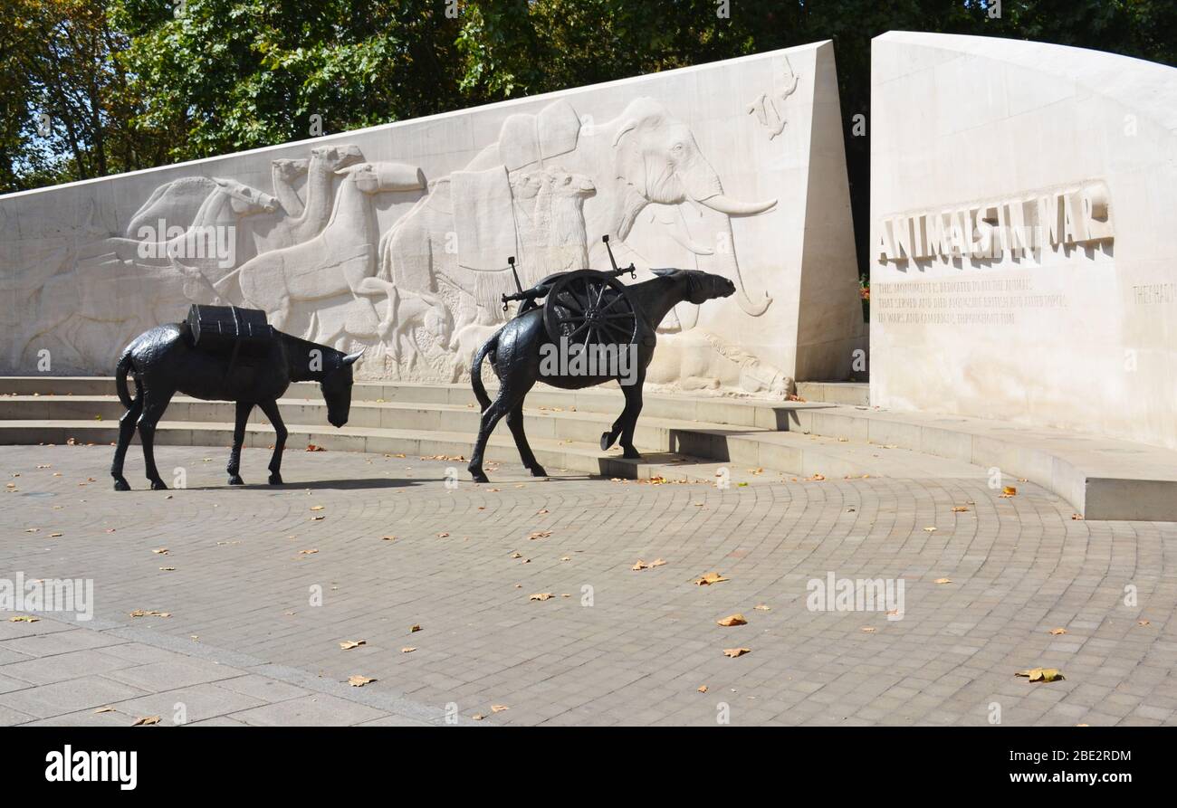 The great war animal memorial hi-res stock photography and images - Alamy