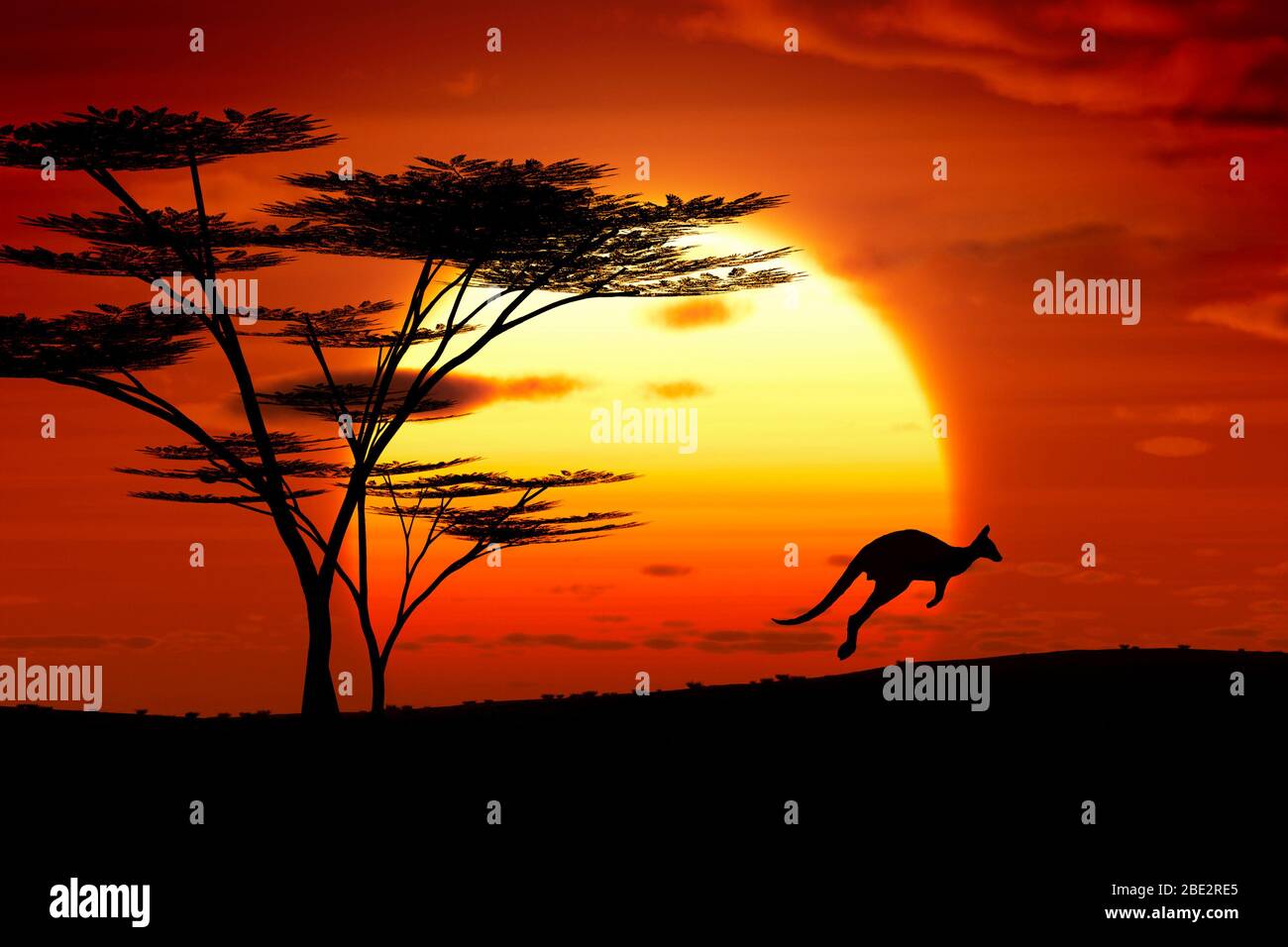 Die Silhouette eines Kaengurus vor einem Sonnenuntergang Stock Photo