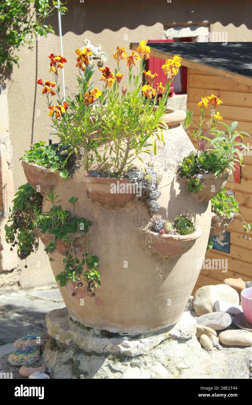 Urn with wallflowers Stock Photo