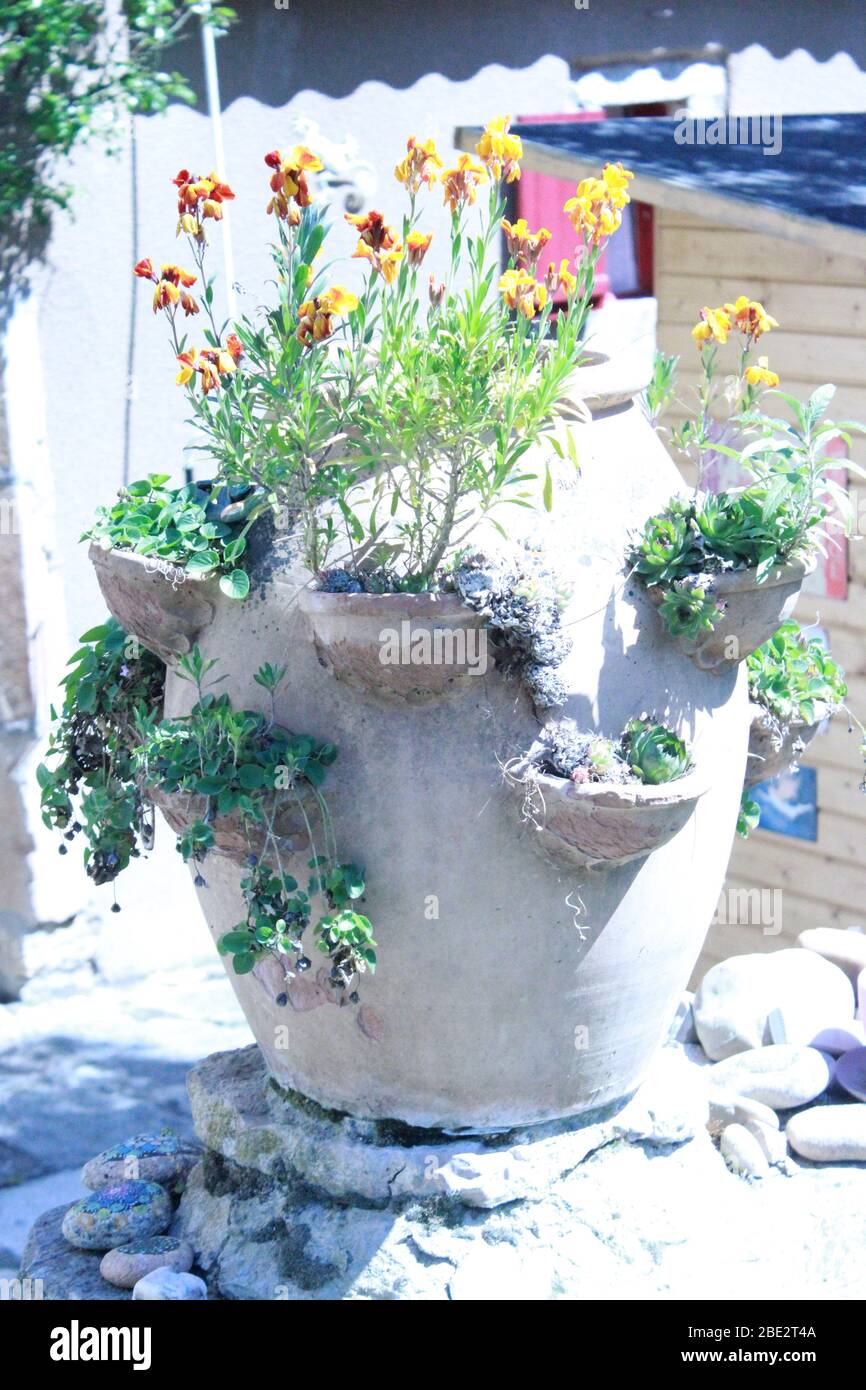 Urn with wallflowers Stock Photo