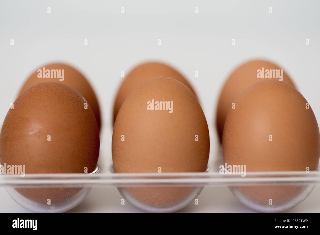 Eggs isolated in a tray with no marking Stock Photo