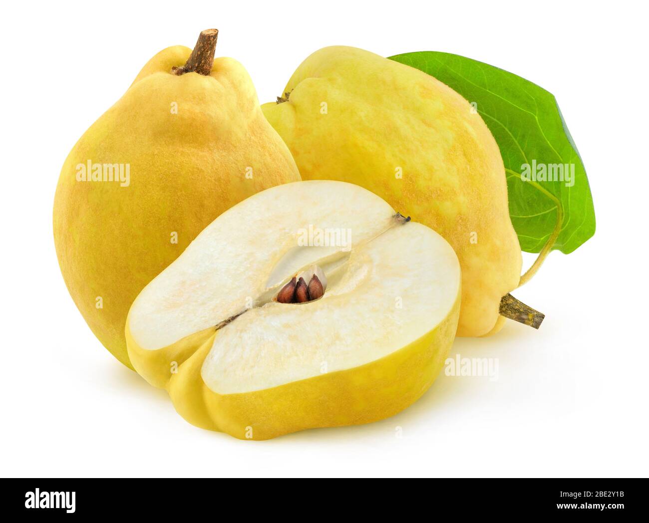Isolated quinces. Two fresh quince fruits and a half ith seeds isolated