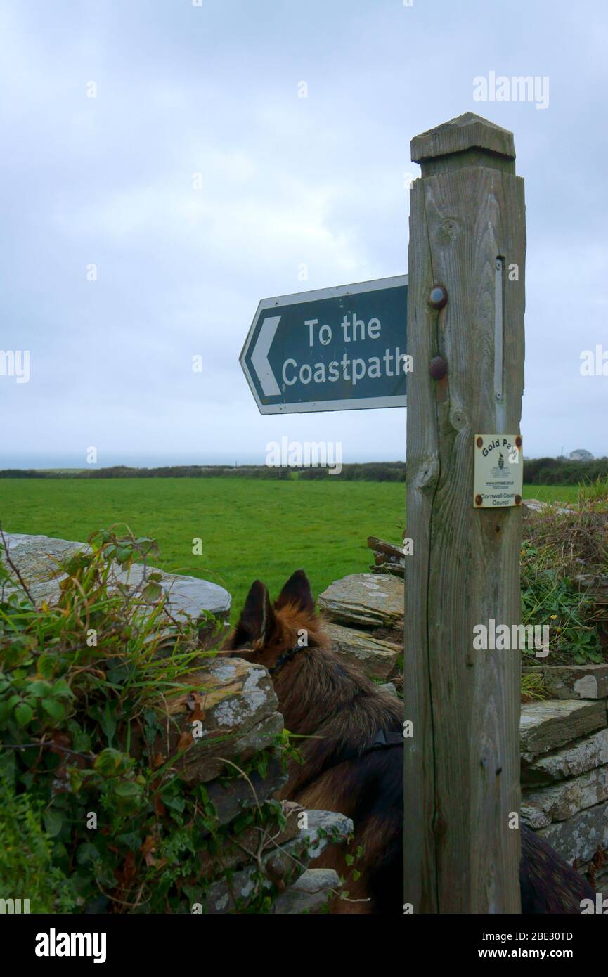 Coastpath Sign at Treknow, Tintagel, North Cornwall. Stock Photo