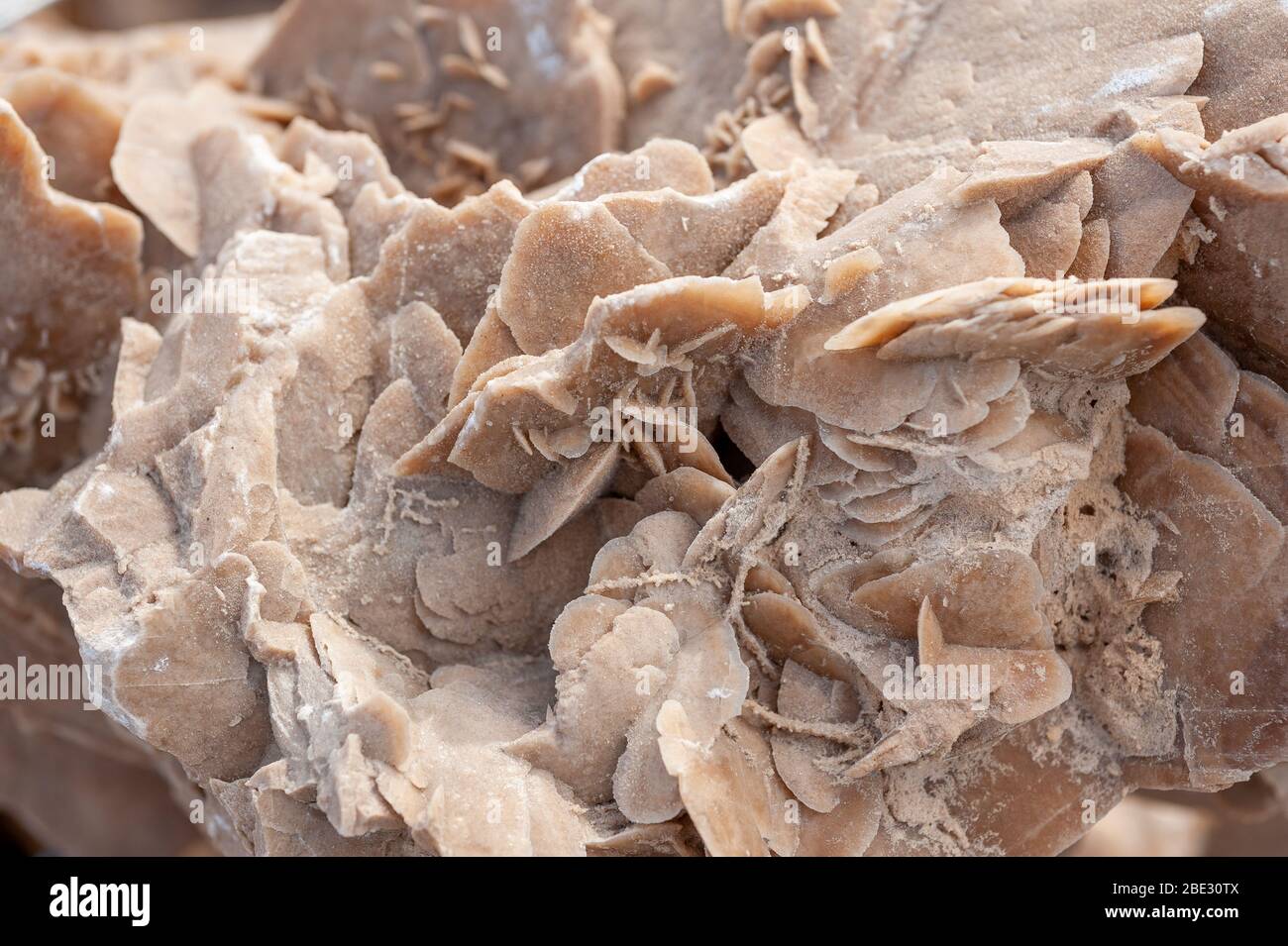 Sahara Desert rose (crystal) sand texture background. Stock Photo