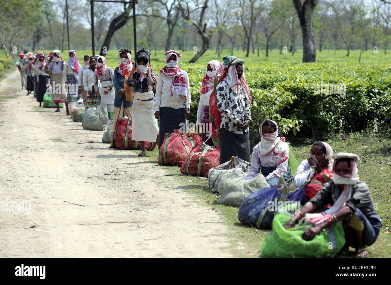 Dibrugarh. 11th Apr, 2020. Workers wait with their tea leaves at Jamira
