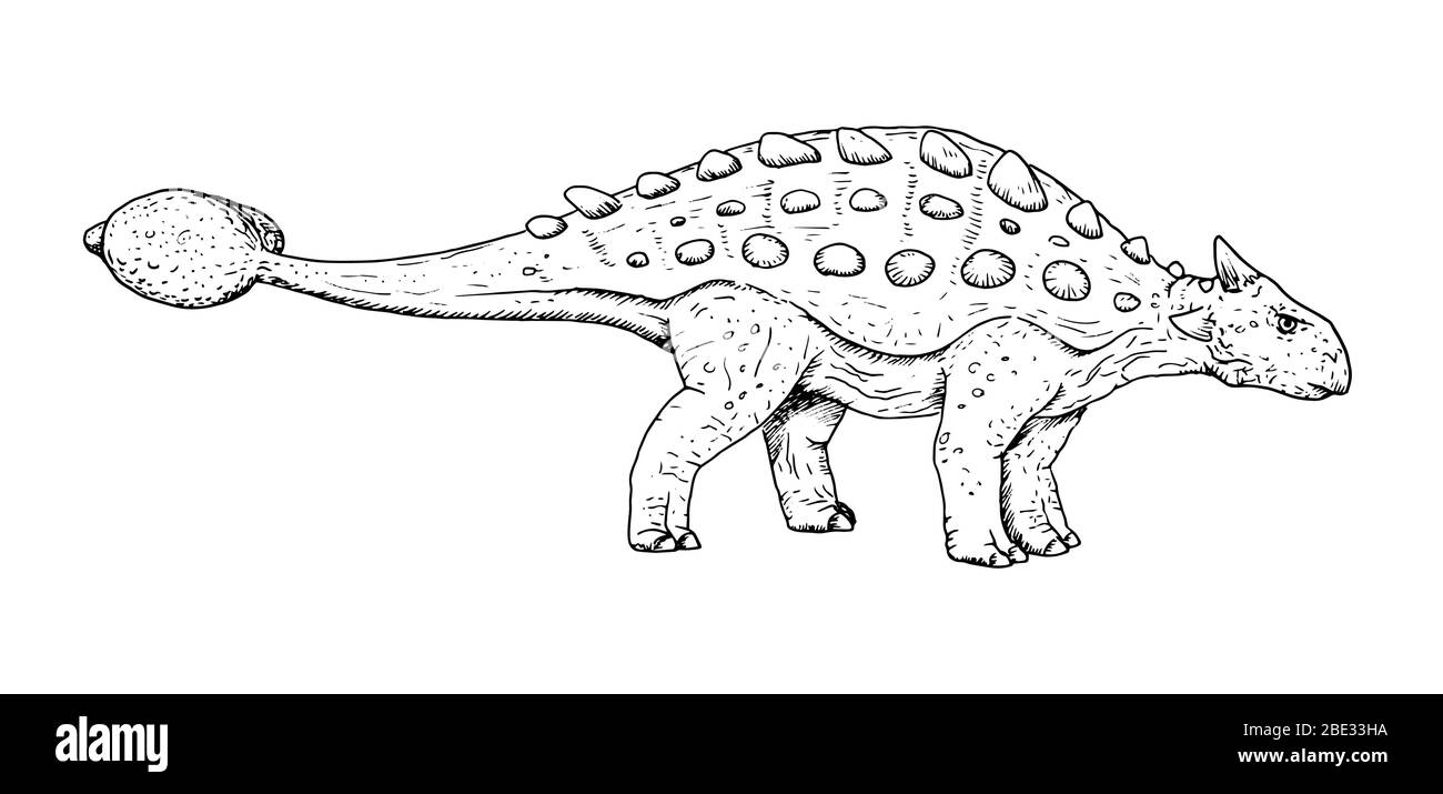 Drawing of dinosaur - hand sketch of Ankylosaurus, black and white