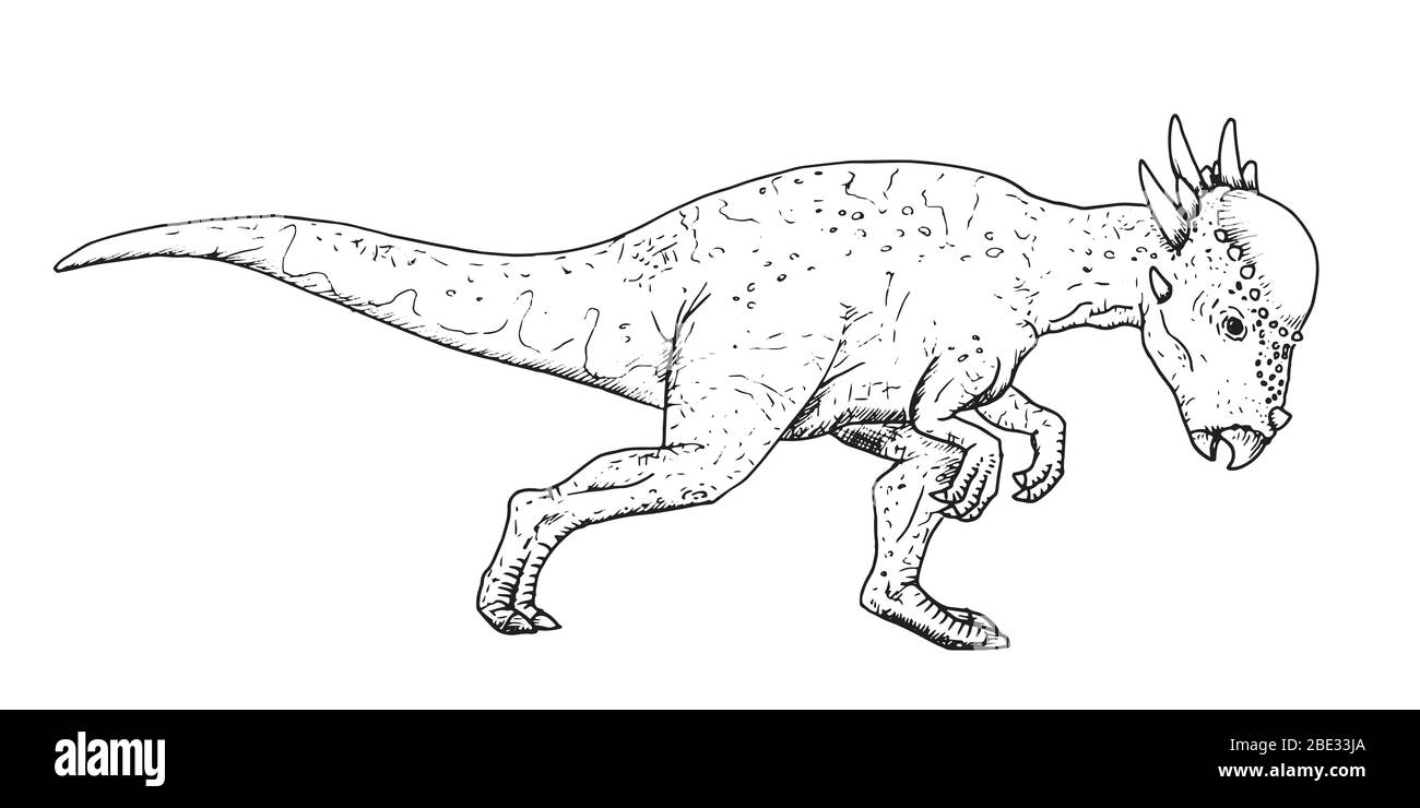 Drawing of dinosaur - hand sketch of Stygimoloch, black and white