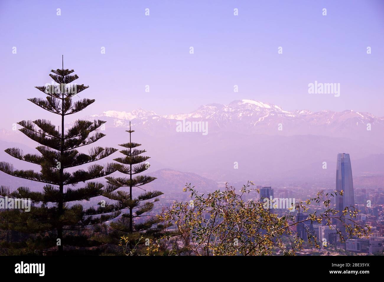 SAntiago de Chile, the Andes and some trees Stock Photo