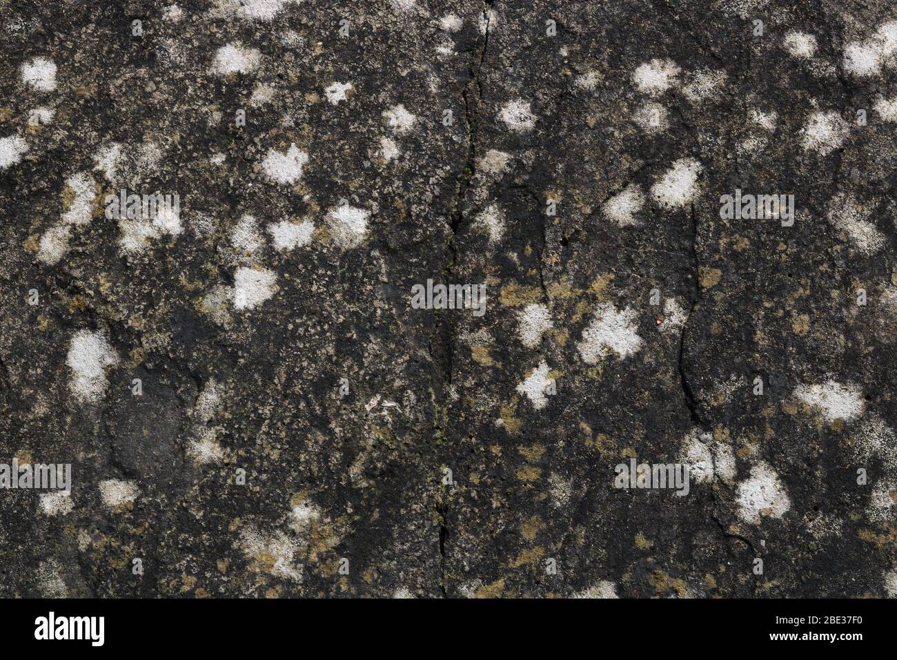 Rotten spots hires stock photography and images Alamy