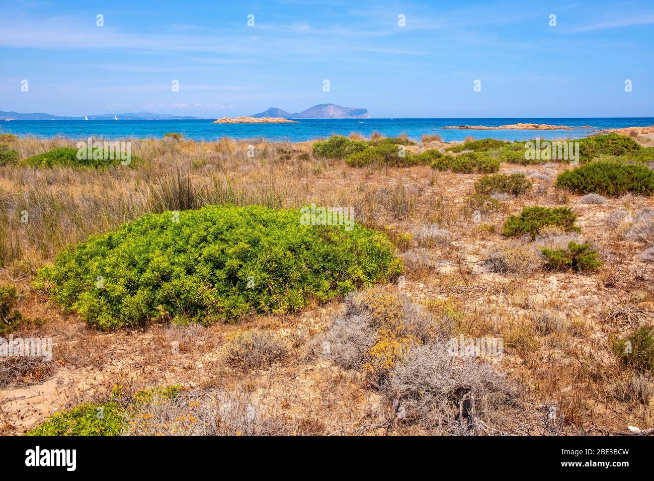 Panoramic view of Spalmatore di Terra peninsula of Marine Protected Area reserve with Mediterranean scrub of Isola Tavolara island on Tyrrhenian sea Stock Photo