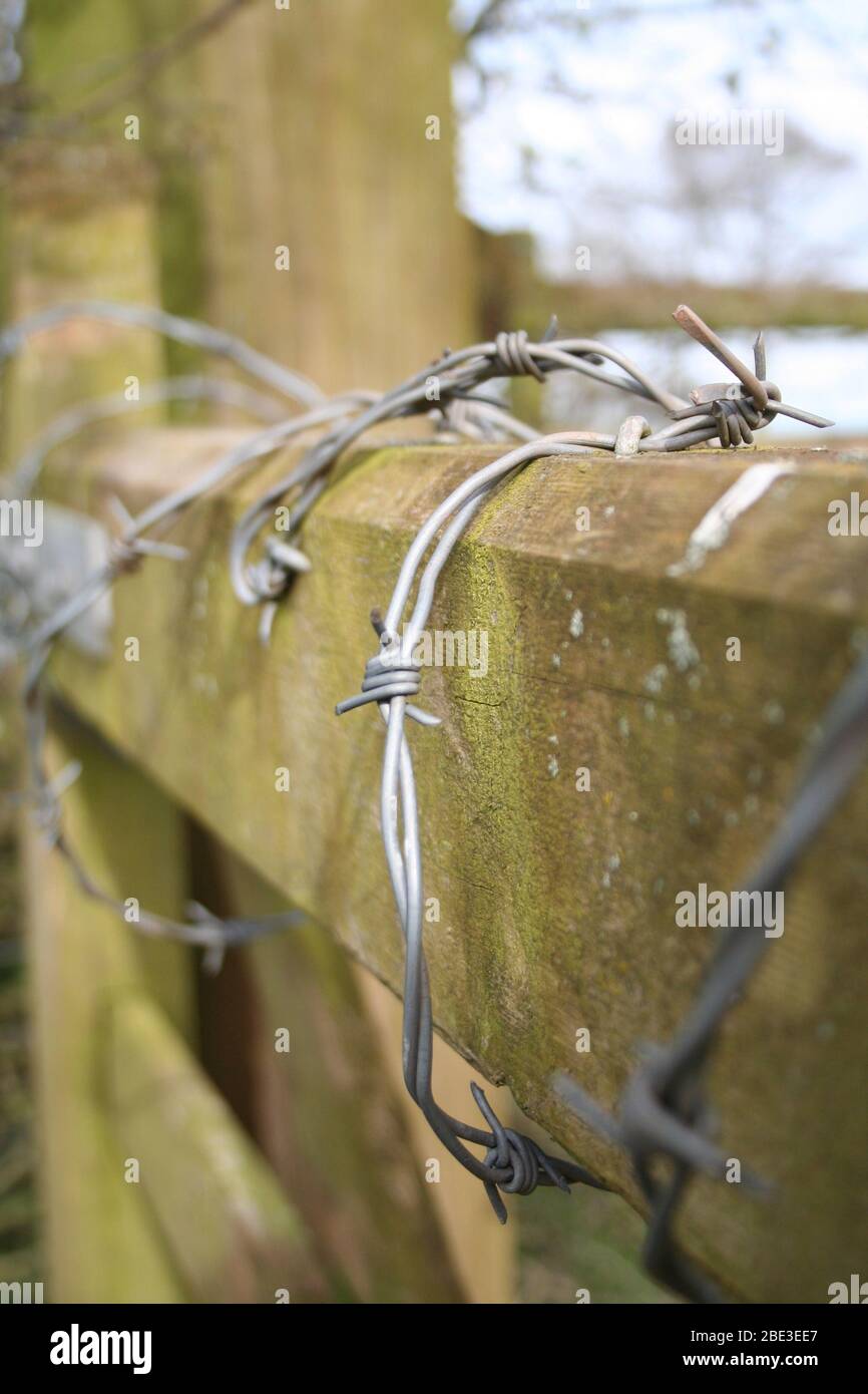 wrapped wire fencing