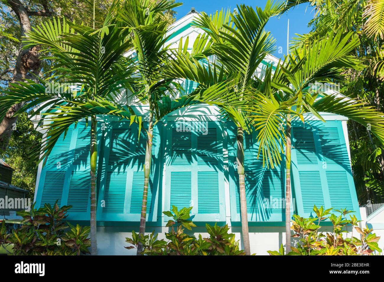 Turquoise beach shutters with palm trees in Key West Stock Photo