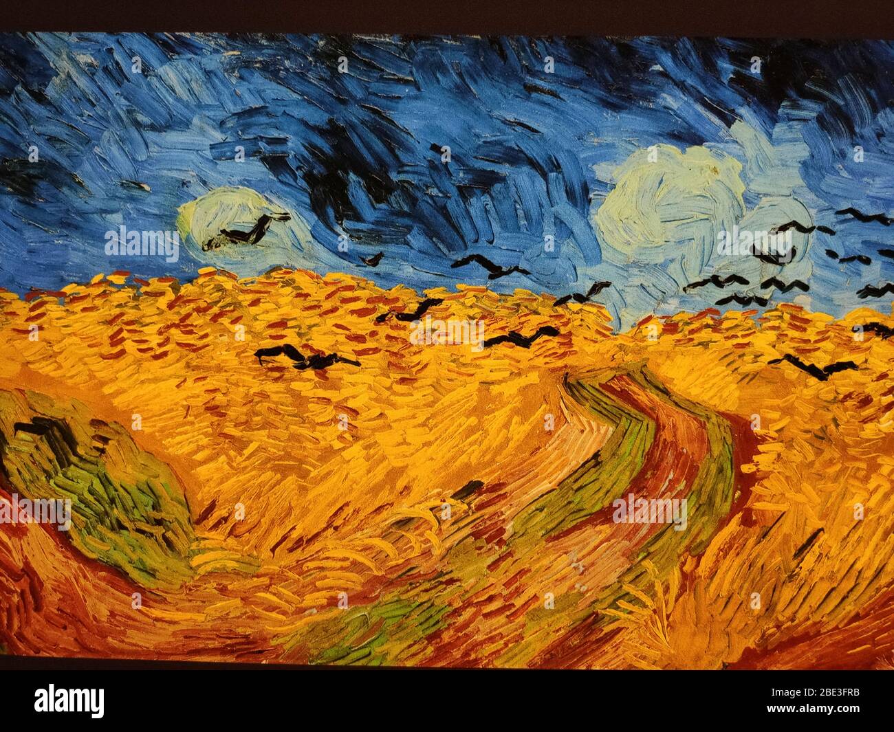 Lisbon, Portugal, 28 February 2020. First exhibition in Portugal by the Van Gogh Museum - a unique and multisensory journey through Van Gogh life. Stock Photo