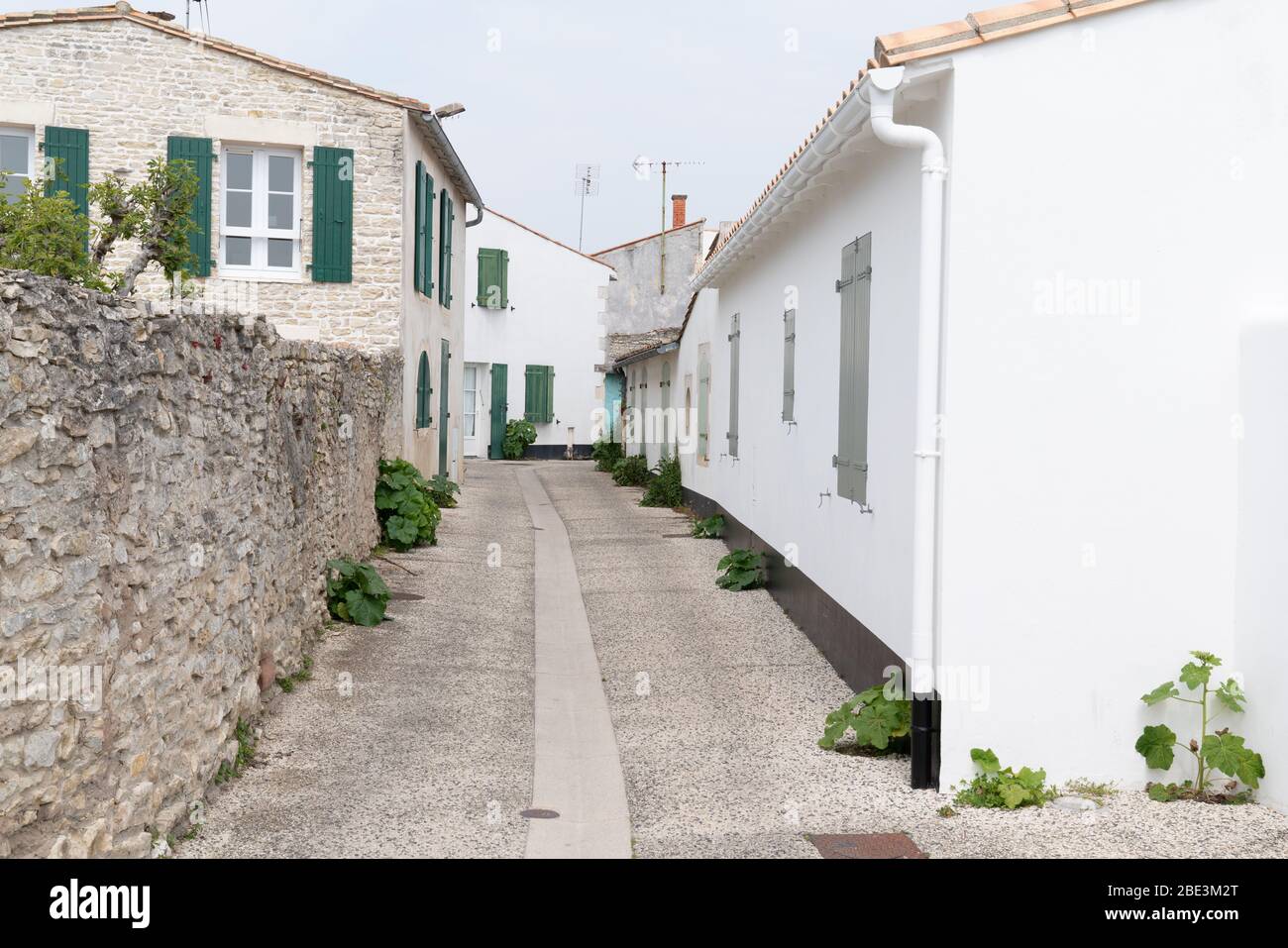 authentic cobblestone and white house street in Saint Martin de Re