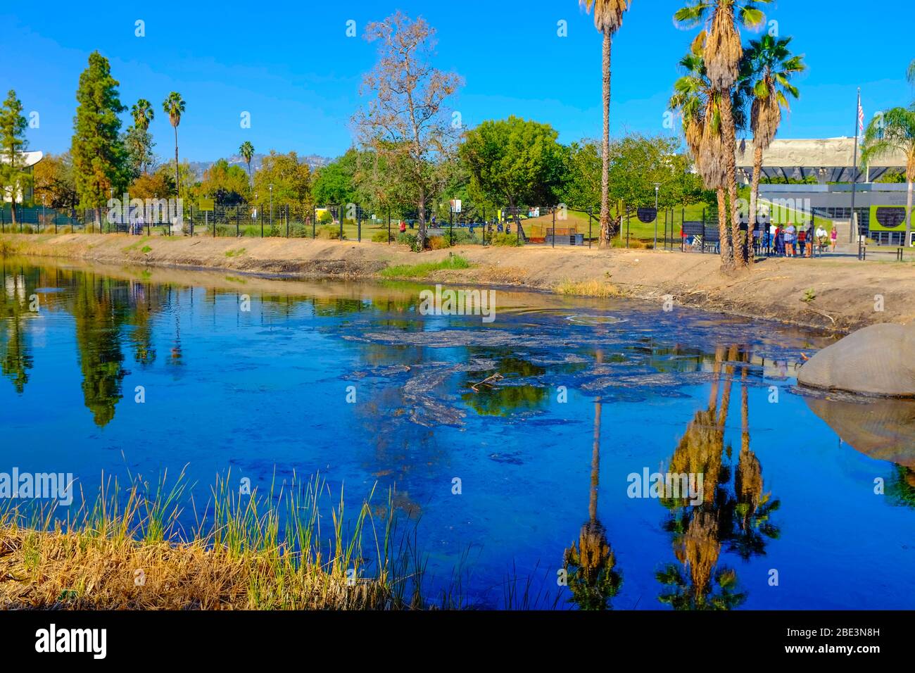 La brea asphalt hires stock photography and images Alamy