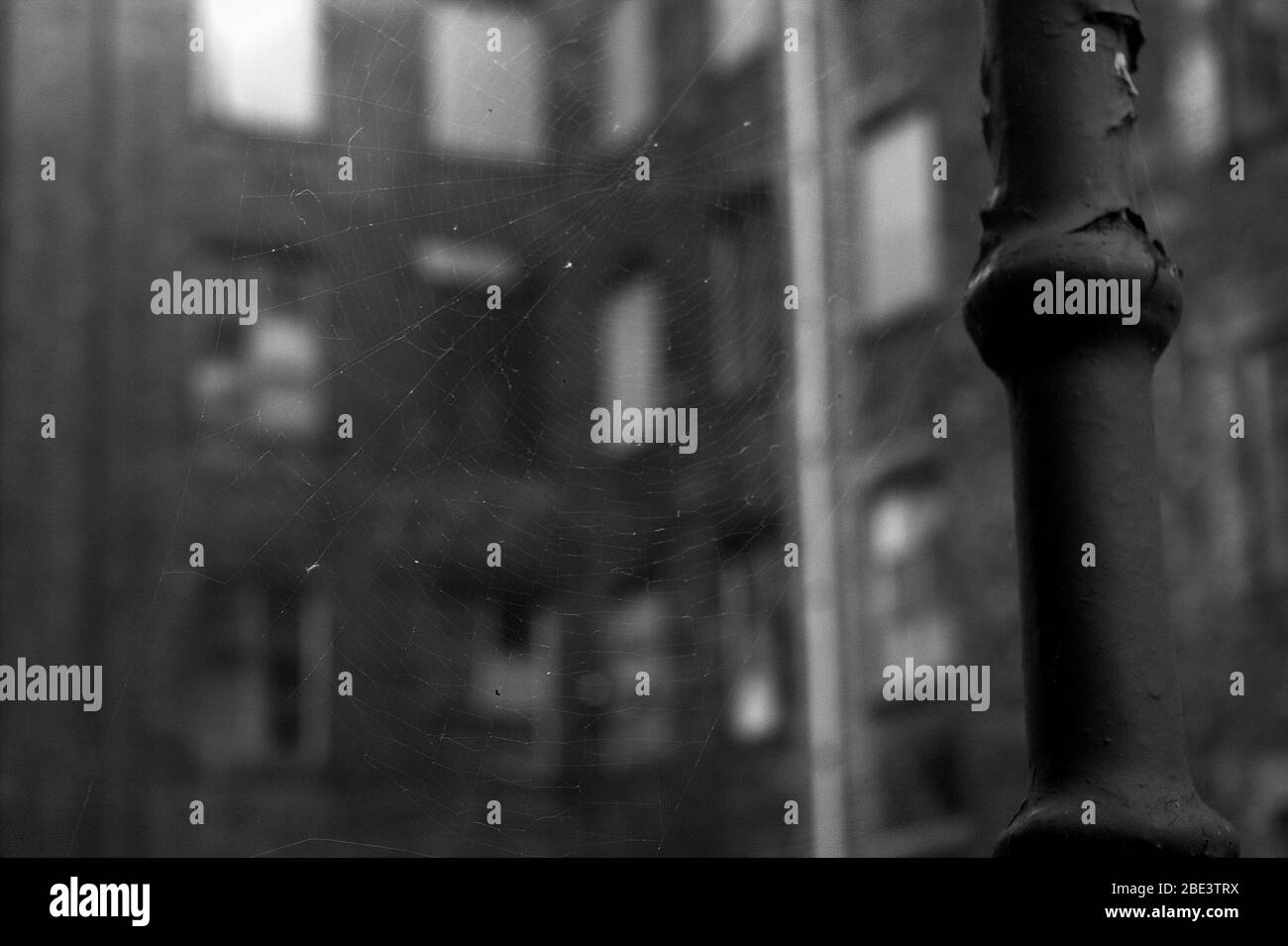 Looking through a spider web in an old mill building in the Ancoats district of Manchester Stock Photo