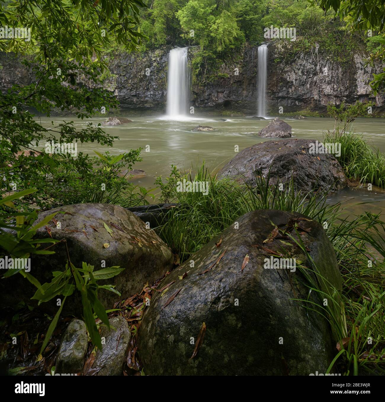 A vertical panorama of lush, tropical rainforest and twin falls in the Tully Gorge National Park in Queensland, Australia. Stock Photo