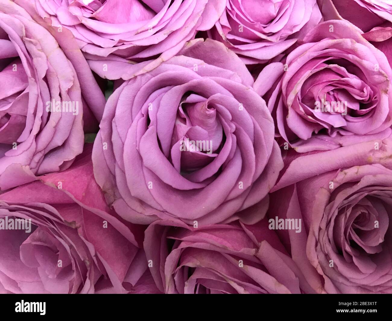 Overhead patterns hi-res stock photography and images - Alamy