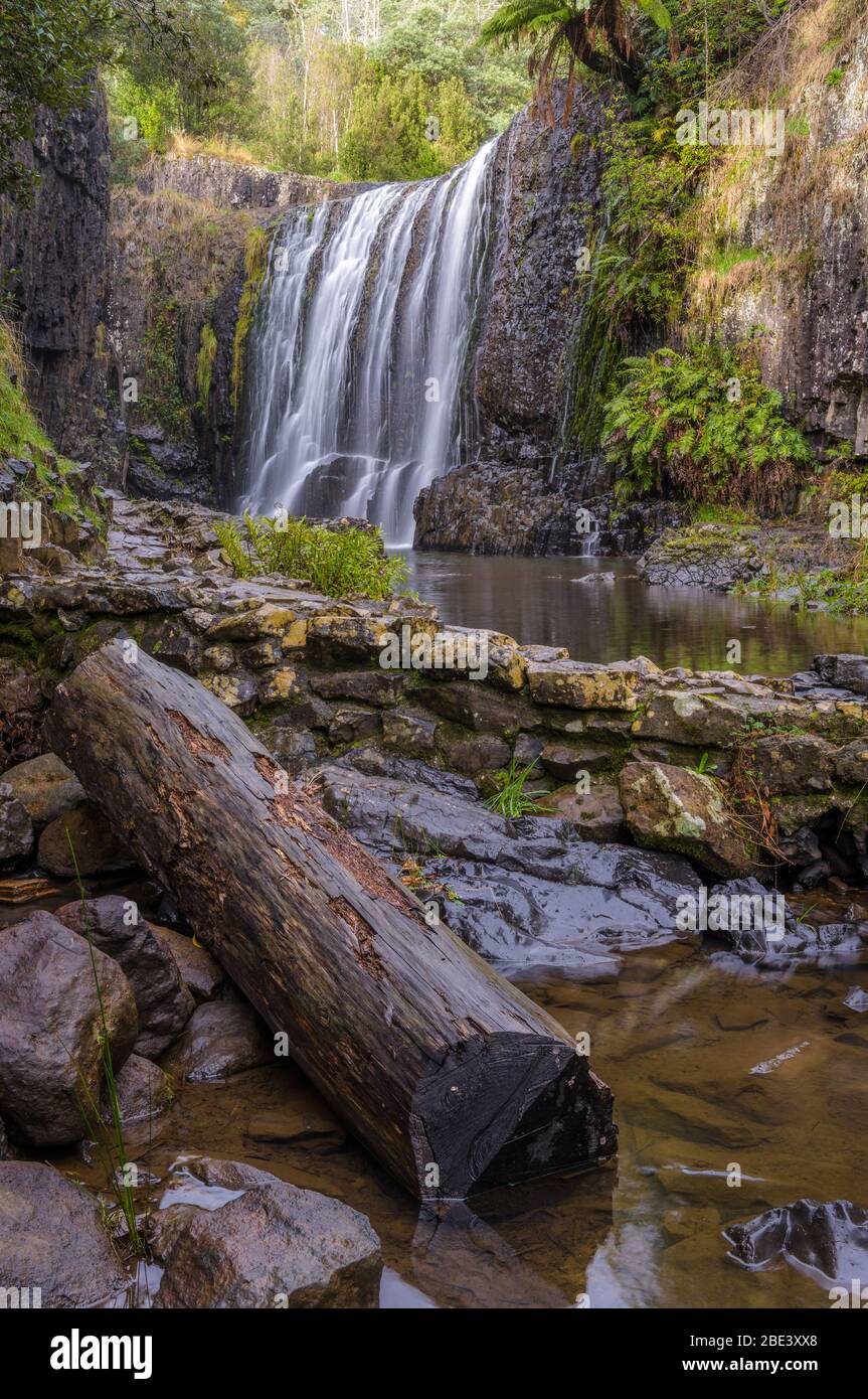 View up the narrow gorge leading to the iconic curtain cascade at Guide Falls on the north-west coast of Tasmania. Stock Photo