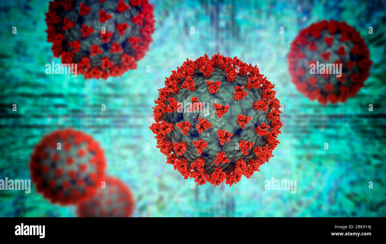 Covid-19 coronavirus particles, illustration. The SARS-CoV-2 coronavirus was first identified in Wuhan, China, in December 2019. It is an enveloped RNA (ribonucleic acid) virus. Within the membrane are spike proteins (large protrusions) as well as membrane proteins and envelope proteins. SARS-CoV-2 causes the respiratory infection Covid-19, which can lead to fatal pneumonia. As of March 2020, the virus has spread to many countries worldwide and has been declared a pandemic. Hundreds of thousands have been infected with tens of thousands of deaths. Stock Photo