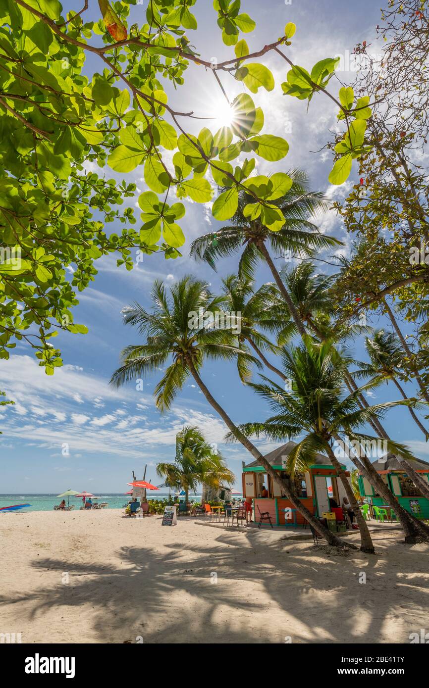View of palm tree fringed Worthing Beach, Barbados, West Indies, Caribbean, Central America Stock Photo