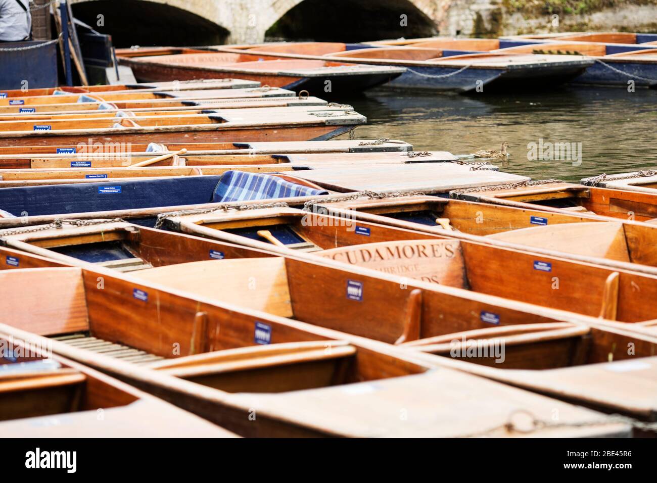 Punts lined up in the Cam River waiting for tourists to come take a ride in Cambridge, England, United Kingdom. Stock Photo