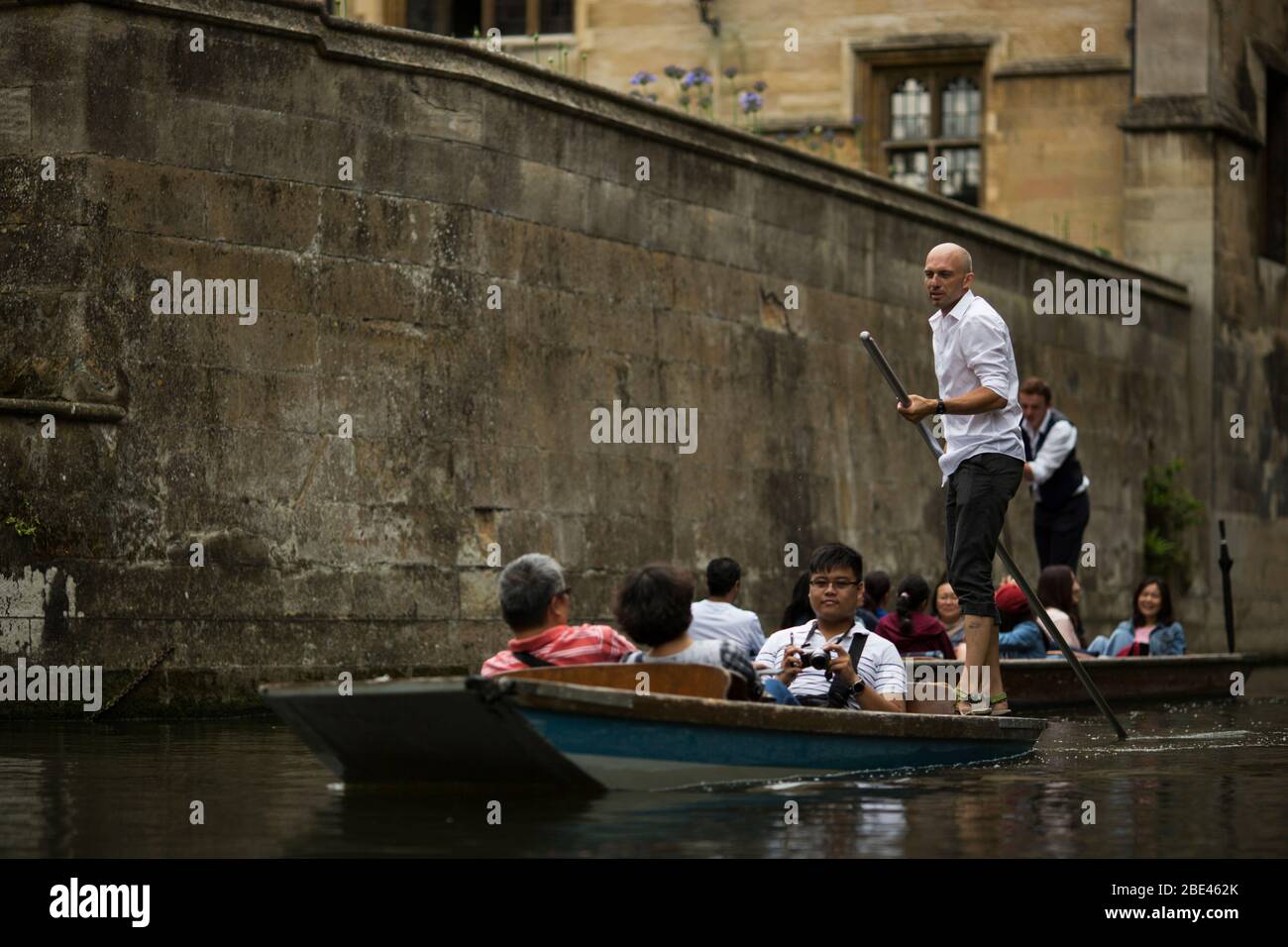 Punters lead tour groups on their punts down the river Cam in Cambridge, England, United Kingdom, past historic college buildings. Stock Photo