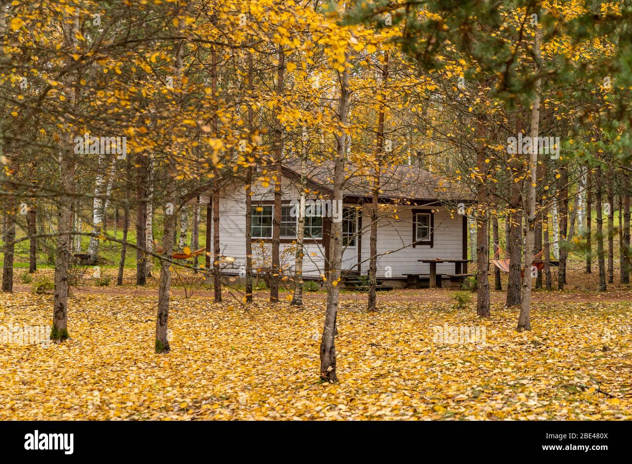 Forest lodge in backwoods, wild area in beautiful forest in Autumn ...